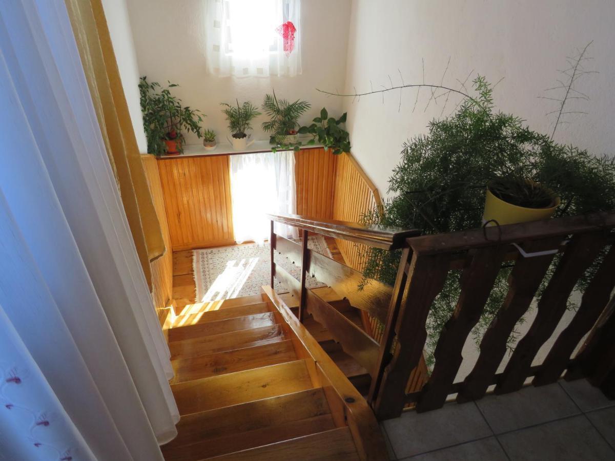 Guest House Ruza Korenica Zewnętrze zdjęcie